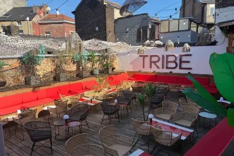 Tribe